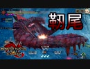 [MHR-S]靭尾竜ベリオロス〔２人プレイ〕～part45