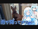 2023年8月3日　農作業日誌P710　午前中はひどく暑い中のチッパー作業からの大雨に見舞われる