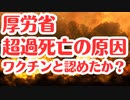 【第1部】厚労省ついに超過死亡の原因ワクチンと認めたか？？