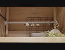 ｺﾉｻｷうつつ『兎の心』初音ミク