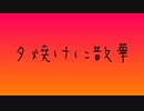 夕焼けに散華/B0ku
