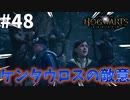 ケンタウロスに助けを求めたが・・・その結果・・・【ホグワーツ・レガシー】#48