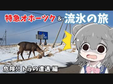 【車載】札幌→網走「特急オホーツク」＆ 流氷の旅（新型プリウス編③）【ソフトウェアトーク】