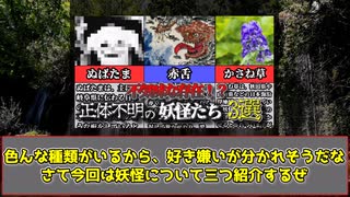 【ゆっくり解説】不気味な正体不明の妖怪3選！【都市伝説】