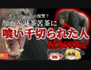 【2006年】母親を〇された？チンパンジー  猿山のボスになり人間の顔を喰い千切って復讐する…『チンパンジー ブルーノ事件』【ゆっくり解説】