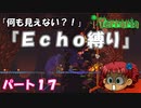 [Terraria]　『Ｅｃｈｏ縛り』パート１７　[ゆっくり実況]