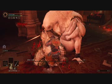ELDEN RING_神肌の貴種