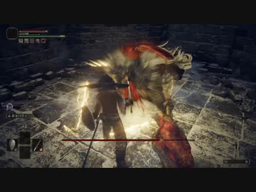 ELDEN RING_宿将二アール