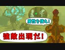 新種の敵を圧倒する様はまさに英傑【ゼルダの伝説 ティアーズ オブ ザ キングダム】#88