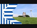 TOMEI TANUKI