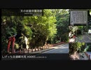 しげっち交通観光局#0065 トリシティ155で行く「天の岩屋供養塔群@指宿市」/2023.05.15