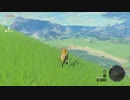 【Switch】リンクがゾナウとゼルダ探し旅【プレイ動画】part13