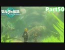 【50】ぼっち勇者の天空探検【ゼルダの伝説ティアーズオブザキングダム】