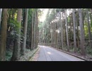 林の道