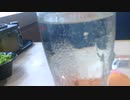 はま寿司飲み　立ち上るサイダーの気泡を観る時間も必要かと