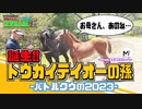 【メイタイファーム】今年産まれた孫テイオーのバトルクウの2023に会ってきた