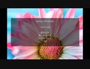 【英語の歌うたえたら】Dua Lipa – Dance The Night【カッコよくねぇ？】