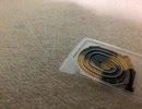 グミを食べよう