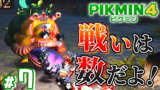 #7 このあと岩ピクミン達がとんでもないことに！？【ピクミン4】