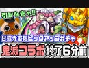 【モンスト実況】コラボ終了6分前に引いてた甘露寺蜜璃PICKUPガチャ【10周年オーブ】