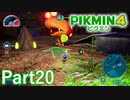 このチャッピー、デカくない？【PIKMIN4実況part20】