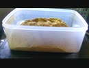 人生初ぬか床　数時間後美味しいぬか漬けたべられると思うと晩酌が楽しみ
