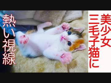 美少女三毛イモ、熱い視線を注がれる