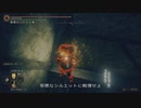 エルデンリング TMCターニッシュドメイクライ侵入part95