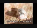 AIきりたんが歌うかわいいねずみMV