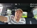 【イノシシ】皆様ーおはようー朝から虫の鳴き声うるしゃー！。2023年7月29日