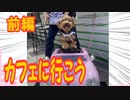 〈モモちゃんねる〉ドッグカフェ『BRUKE GARDEN (ブルークガーデン)』に行こう！　前編
