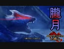 [MHR-S]第１弾アプデ本命、朧月の暗殺者〔初見プレイ〕～part53