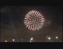 【エージェント】江戸川区花火大会パトロール