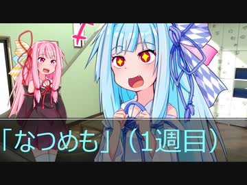 [今日の葵ちゃん（ボドゲ）]葵ちゃんはボードゲームがしたい「なつめも」（1週目）