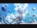 Voice