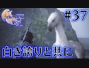 【FF16】ぽんこつヒカセンが世界の理に立ち向かう Part.37【実況】