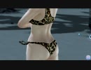 【DoaXvv/フィオナ】ポーズ:これくらい当然よ♪/水着:サバンナ