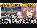 ある切実な理由でにじ甲リゼ皇女の配信がリアタイできなくなった女騎士（プレイ集あり）【#にじ甲2023】