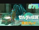 【実況】大空を翔る。ゼルダの伝説ティアーズオブザキングダム 実況プレイ！Part75【ゼルダの伝説TotK】