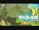 【実況】大空を翔る。ゼルダの伝説ティアーズオブザキングダム 実況プレイ！Part78【ゼルダの伝説TotK】