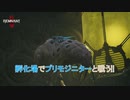 【レムナント 2】孵化場でプリモジニターと戦う!! Part 11【ネタバレあり】