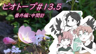 番外編：花壇の中間計【ビオトープ13.5】