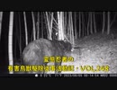 (続くクマァ警戒)変態忍者の、有害鳥獣駆除従事活動記・その２４８