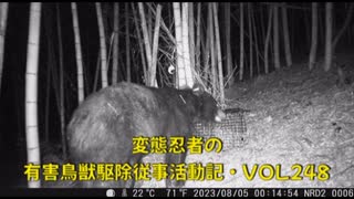 (続くクマァ警戒)変態忍者の、有害鳥獣駆除従事活動記・その２４８