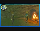【ゼルダの伝説 ティアーズ オブ ザ キングダム】空と地底と大地と呪われし右腕。 #63【実況】