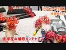 【もくもく作業】彼岸花の補修メンテナンス【作業音のみ】