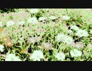#チ｜ユ｜リ @長山｜知由理