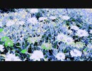 #チ｜ユ｜リ @長山｜知由理