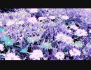 #チ｜ユ｜リ @長山｜知由理