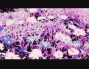 #チ｜ユ｜リ @長山｜知由理
